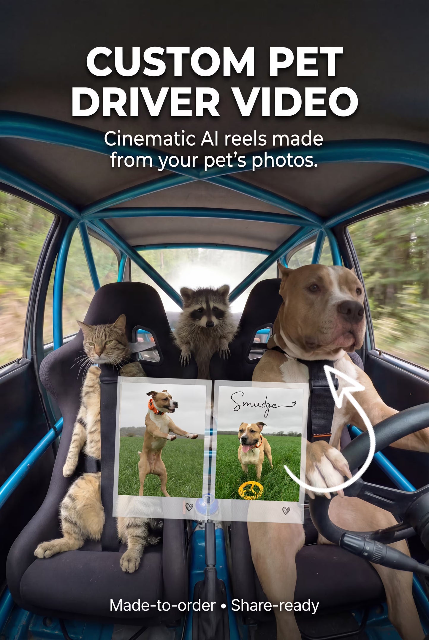 Custom Pet Driver Video Collab