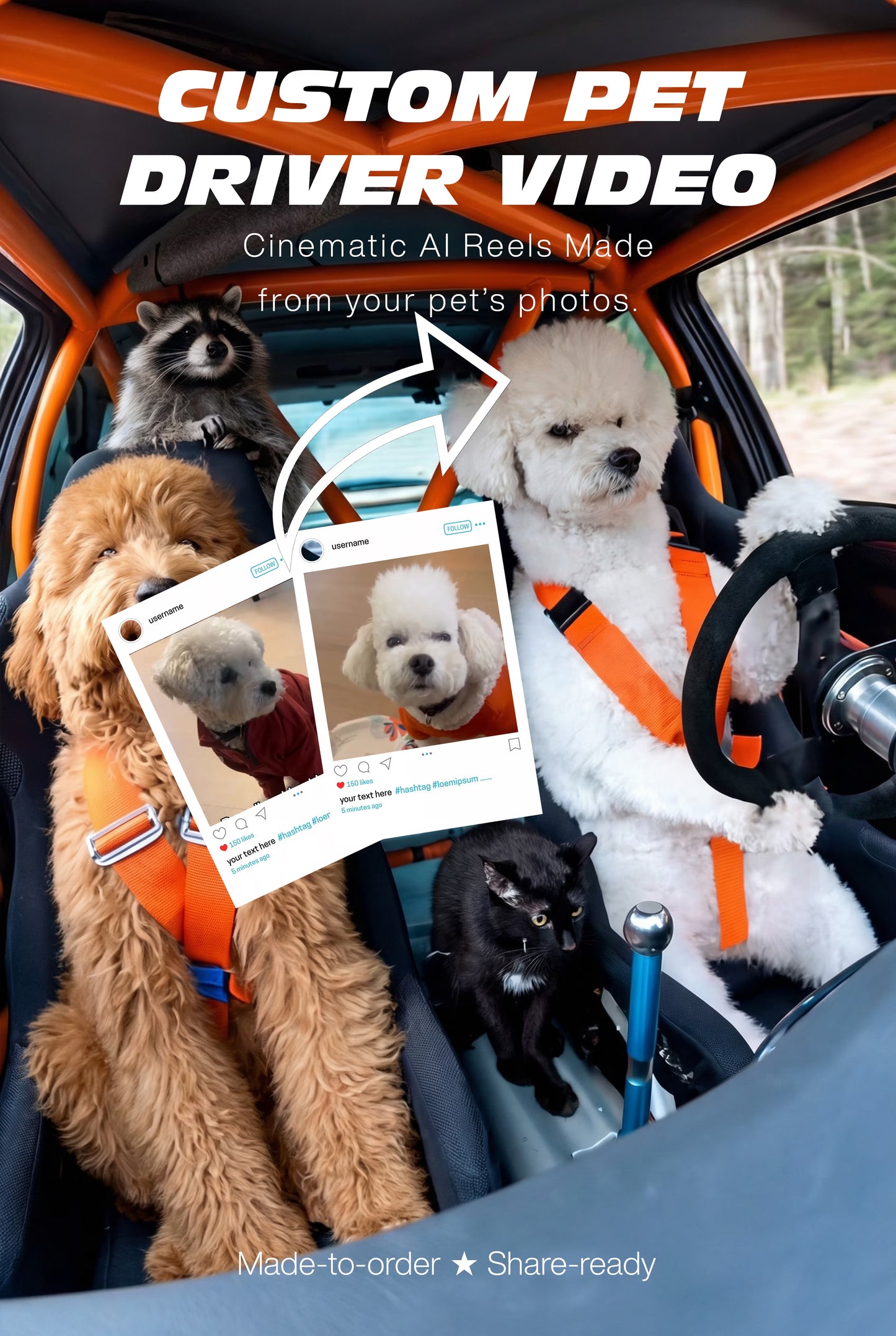 Custom Pet Driver Video