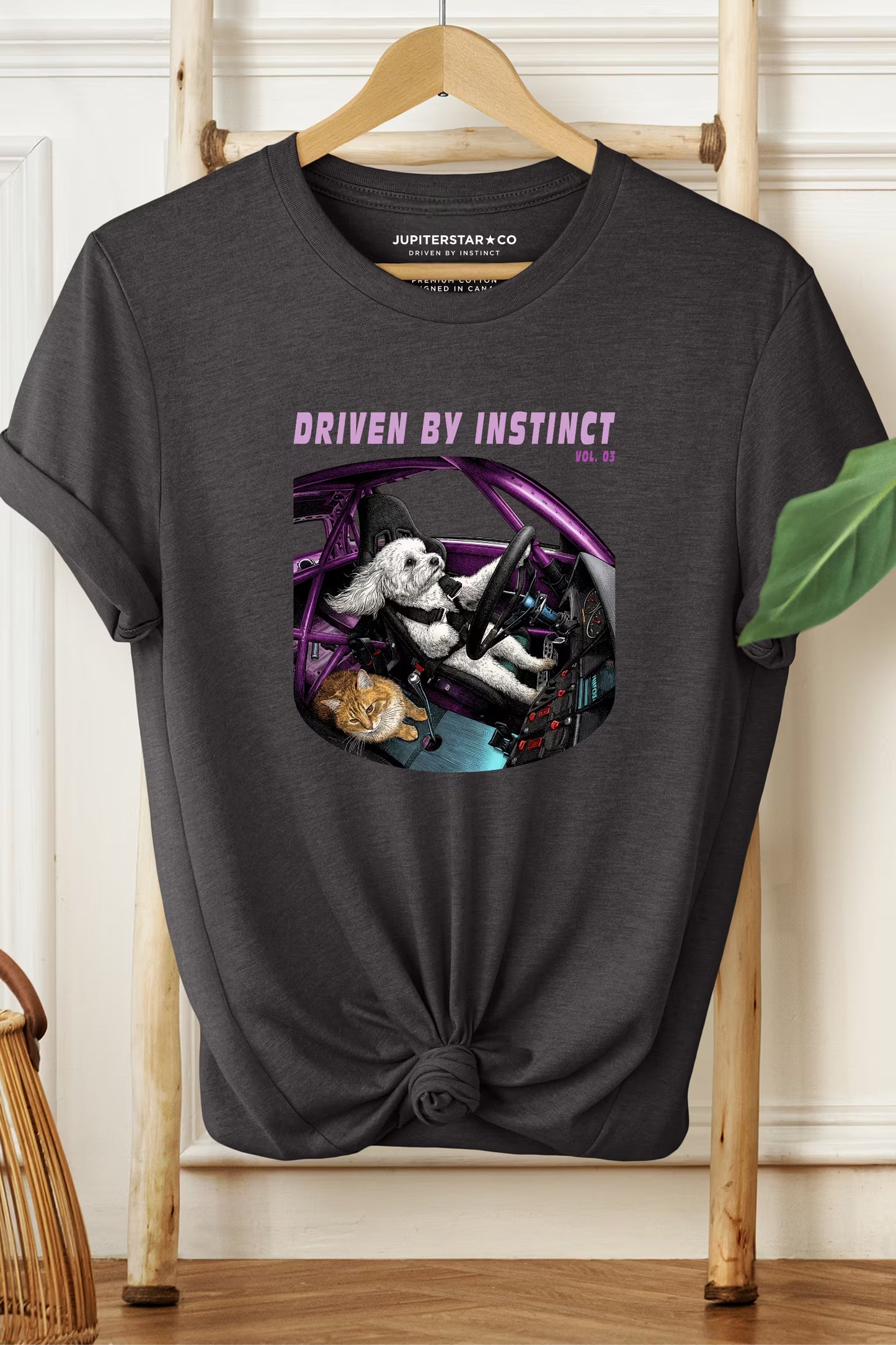 COLLECTION 03: THE ZONE OF FOCUS