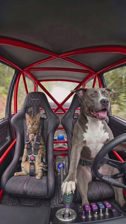 Custom Pet Driver Collab