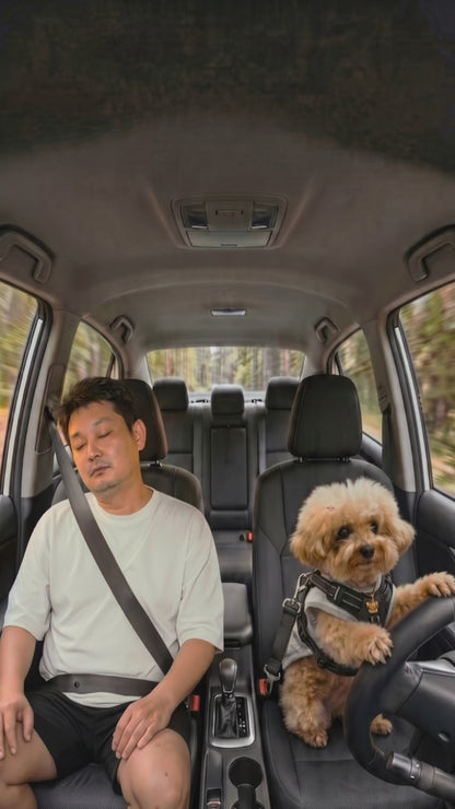 Custom Pet Driver Featured