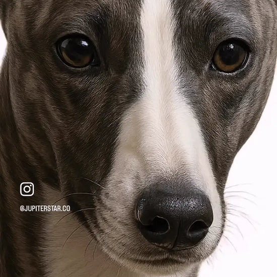 Visual showcase of hyper-realistic artwork technique for premium custom shirts