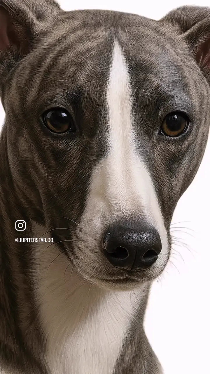 Visual showcase of hyper-realistic artwork technique for premium custom shirts
